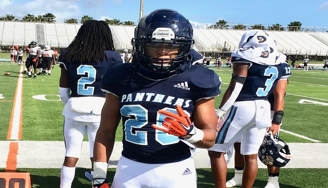 SPRING FOCUS – Palmetto Will Once Again Be In The 8A Mix